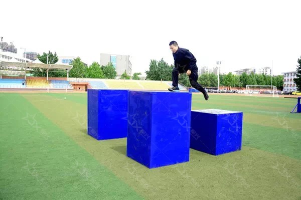 1770621374107223.jpg 8.jpg